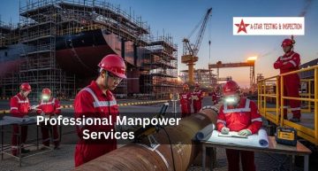 professional manpower services
